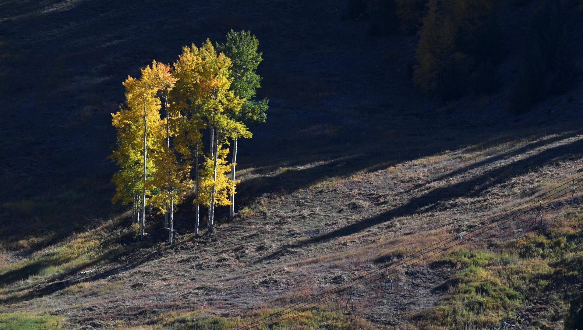 100619-news-aspens 63.JPG
